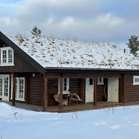 Sentrumsnaer Roroshytte Holiday home