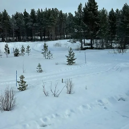 Sentrumsnaer Roroshytte Holiday home Roros