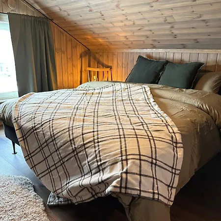 Sentrumsnaer Roroshytte Holiday home *