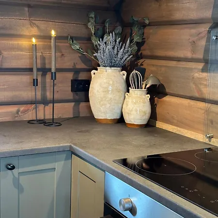 Tatil Evi Sentrumsnaer Roroshytte