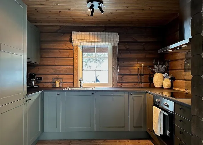 Sentrumsnaer Roroshytte Røros