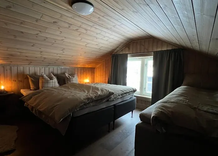 Sentrumsnaer Roroshytte * Røros