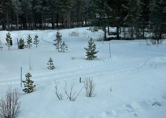 Sentrumsnaer Roroshytte Casa vacanze Røros