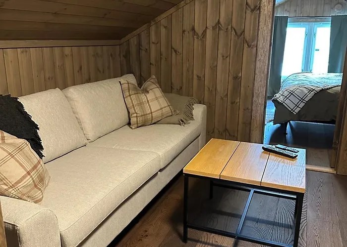 Sentrumsnaer Roroshytte Røros