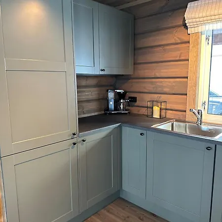Сasa de vacaciones Sentrumsnaer Roroshytte Røros